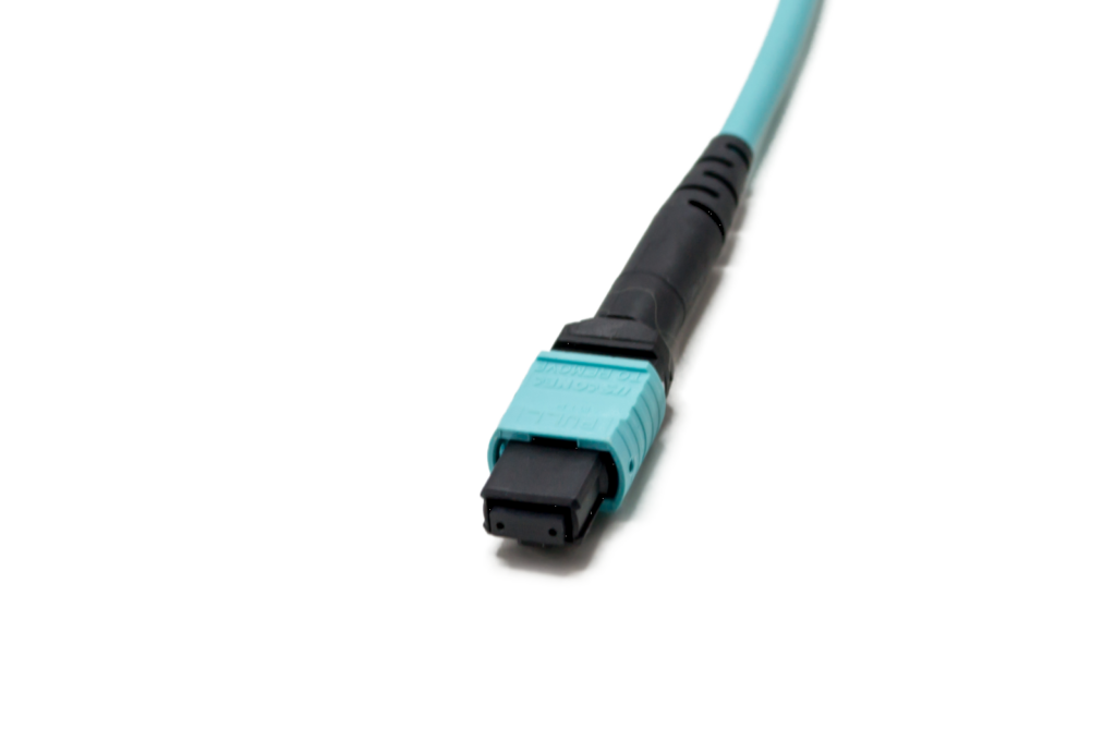 1x24f MTP to 1x24f MTP 24-fiber trunk cable